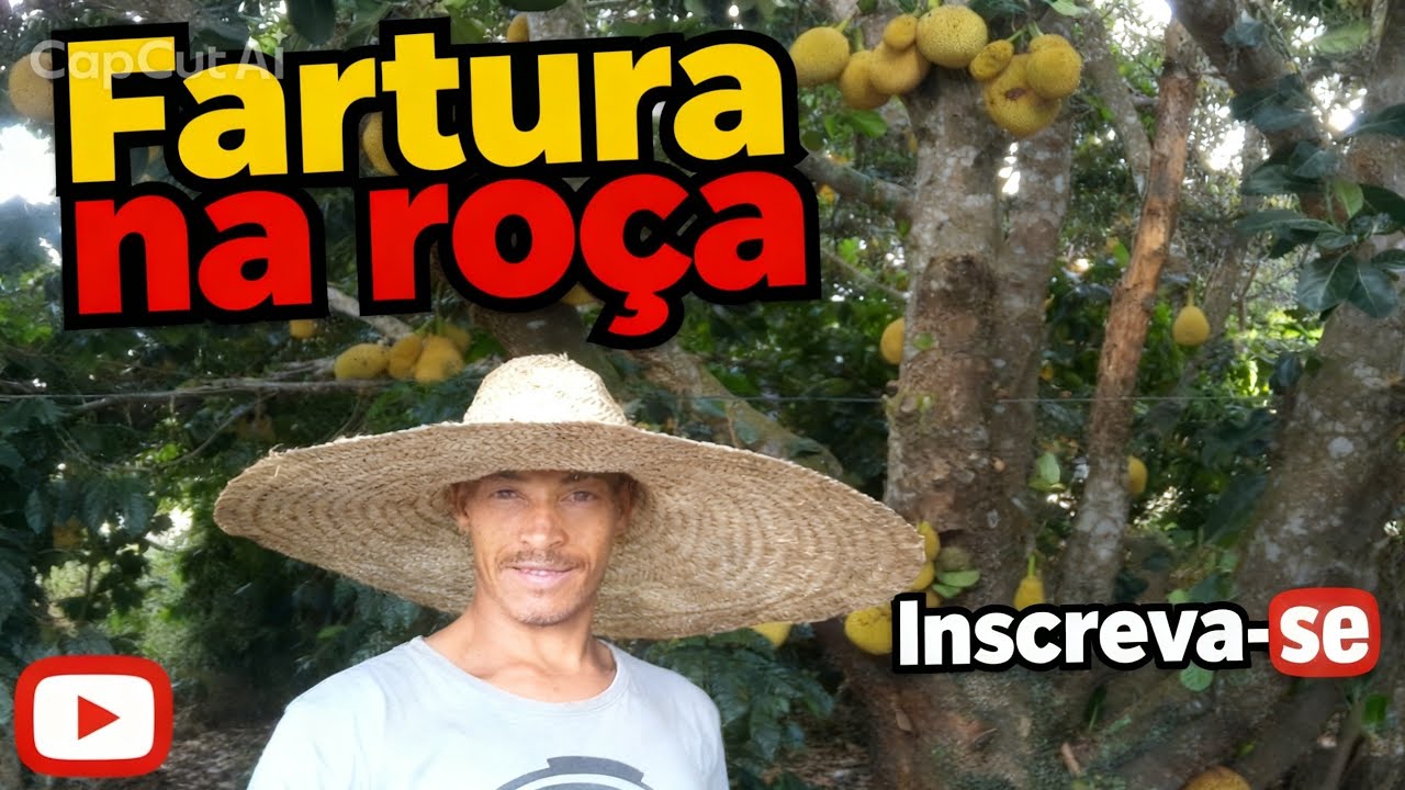 Fartura na roça 