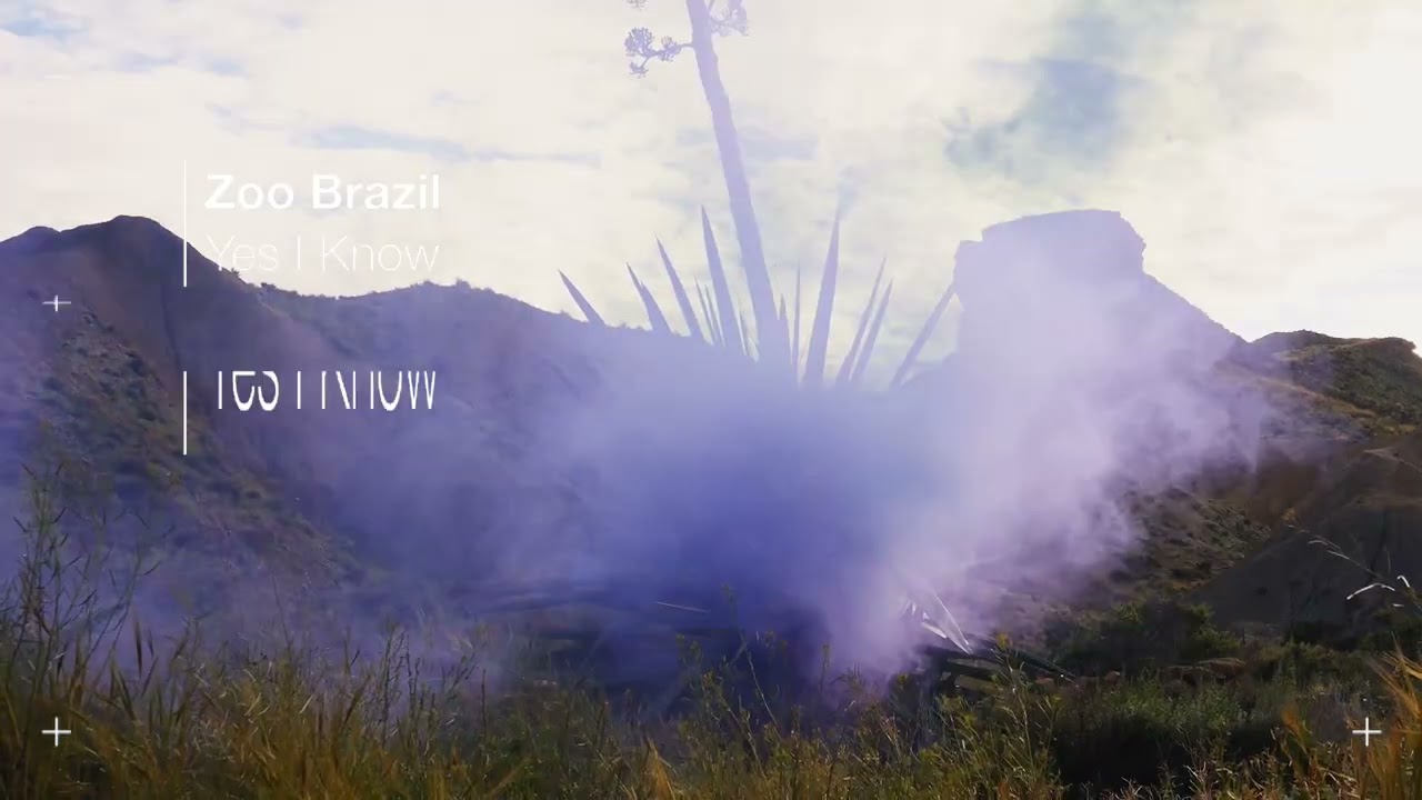 Zoo Brazil - Yes I Know