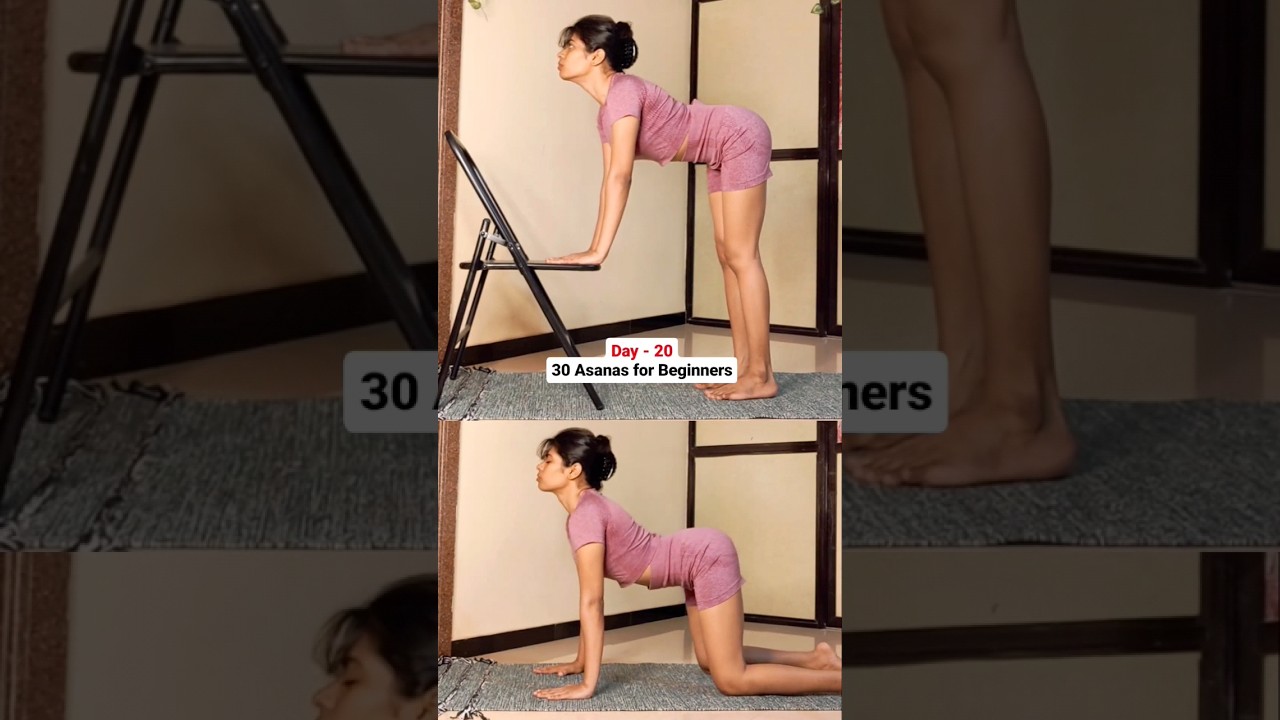 Day 20/21 Marjaryasana-bitilasana Cat-Cow pose Beginners Yoga Asanas #beginnersyoga #yogaseries