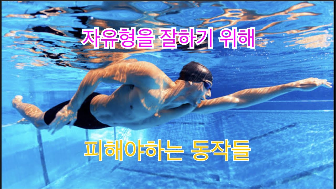 자유형을 잘하기 위해 피해야하는 동작