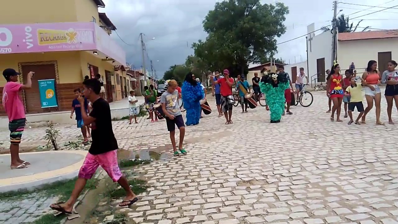 🔴 Urso Em Mossoró #3