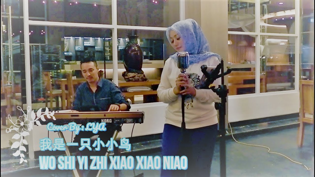 我是一只小小鸟 WO SHI YI ZHI XIAO XIAO NIAO || cover Lya