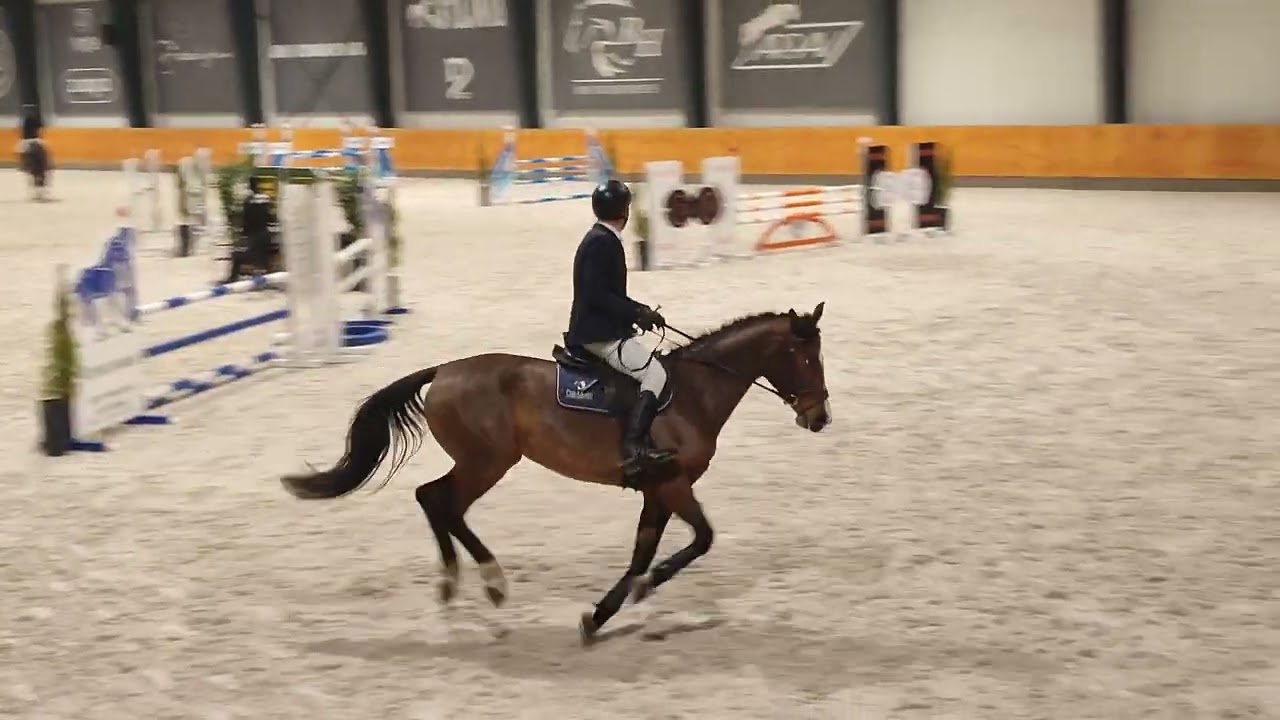 Dominik Ast, Quarantina HZO Krajkowo, Runda Koni 5 letnich, 1 mc @prolinenteam