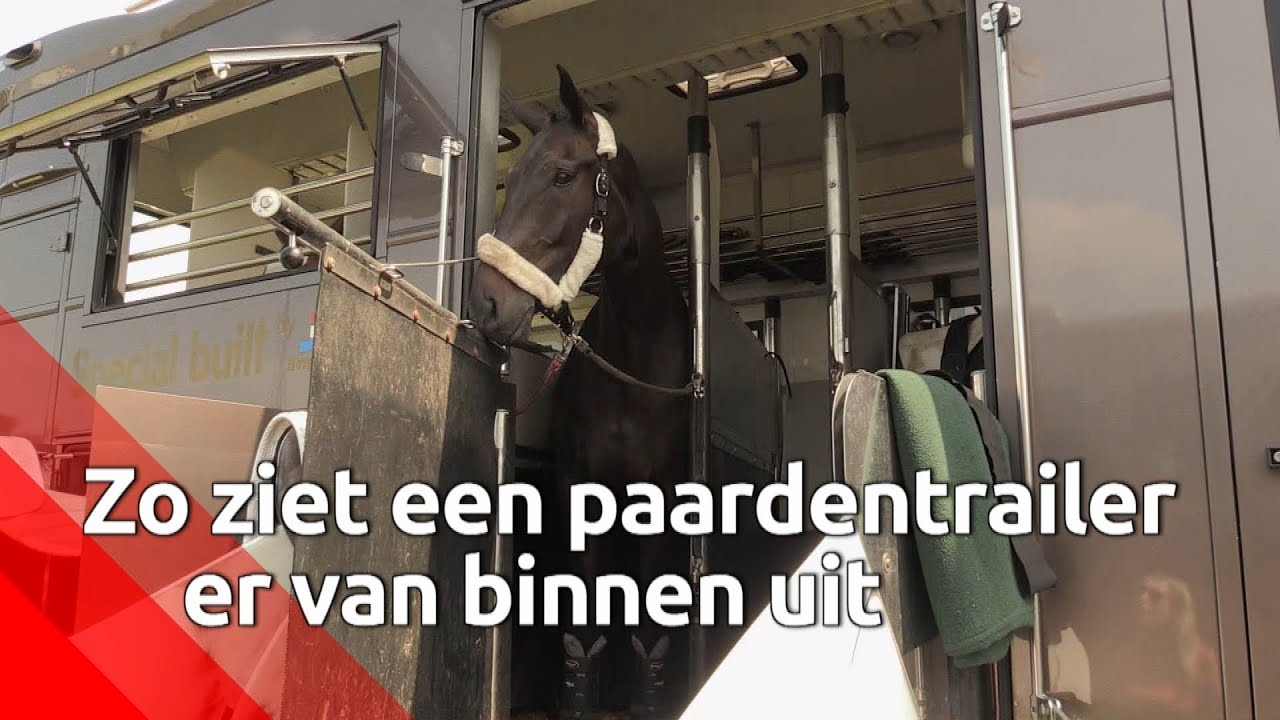 Zo ziet een luxe paardentrailer er van binnen uit