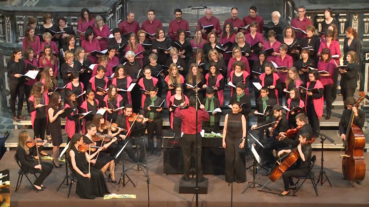 AVE MARIA (F. Schubert)
