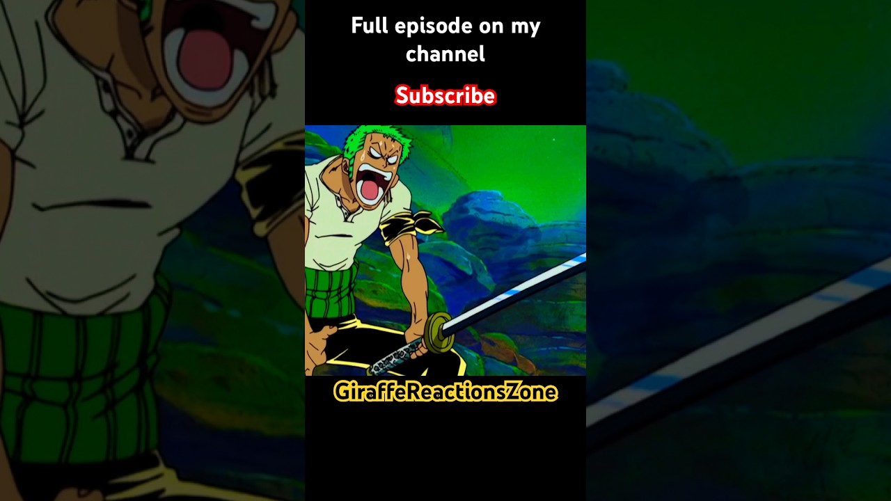 Zoro Cuts the Booger!  