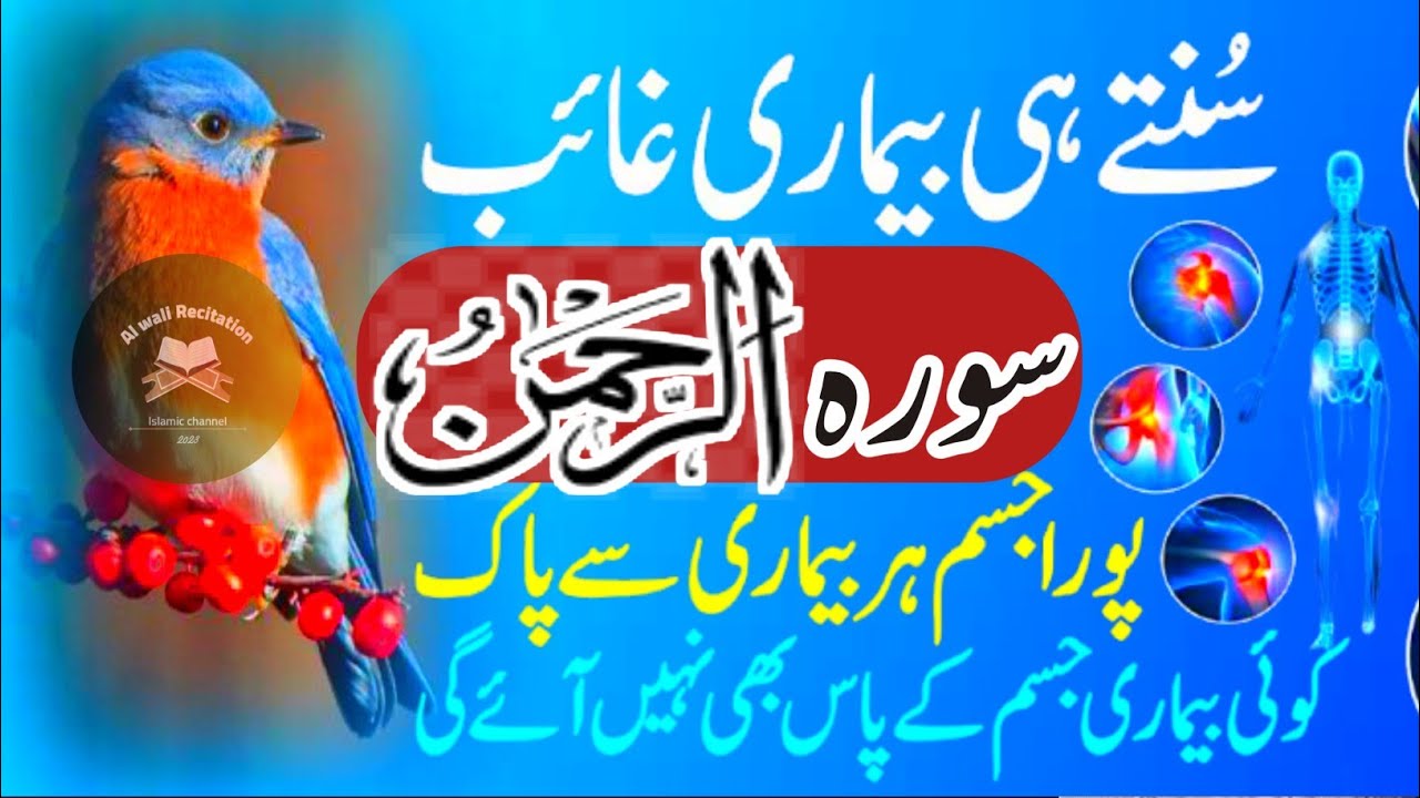 Surah Ar-Rahman | Healing & Relaxing Recitation | alwalirecitation 