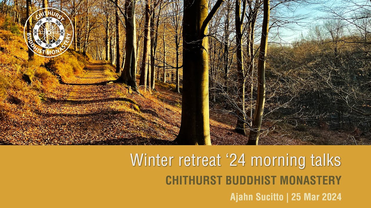 The Circular Process: Right View, Right Mindfulness and Right Effort | Ajahn Sucitto | 25 March '24