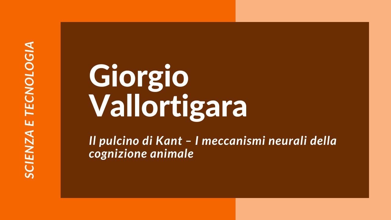 Il pulcino di Kant. I meccanismi neurali della cognizione animale. Giorgio Vallortigara