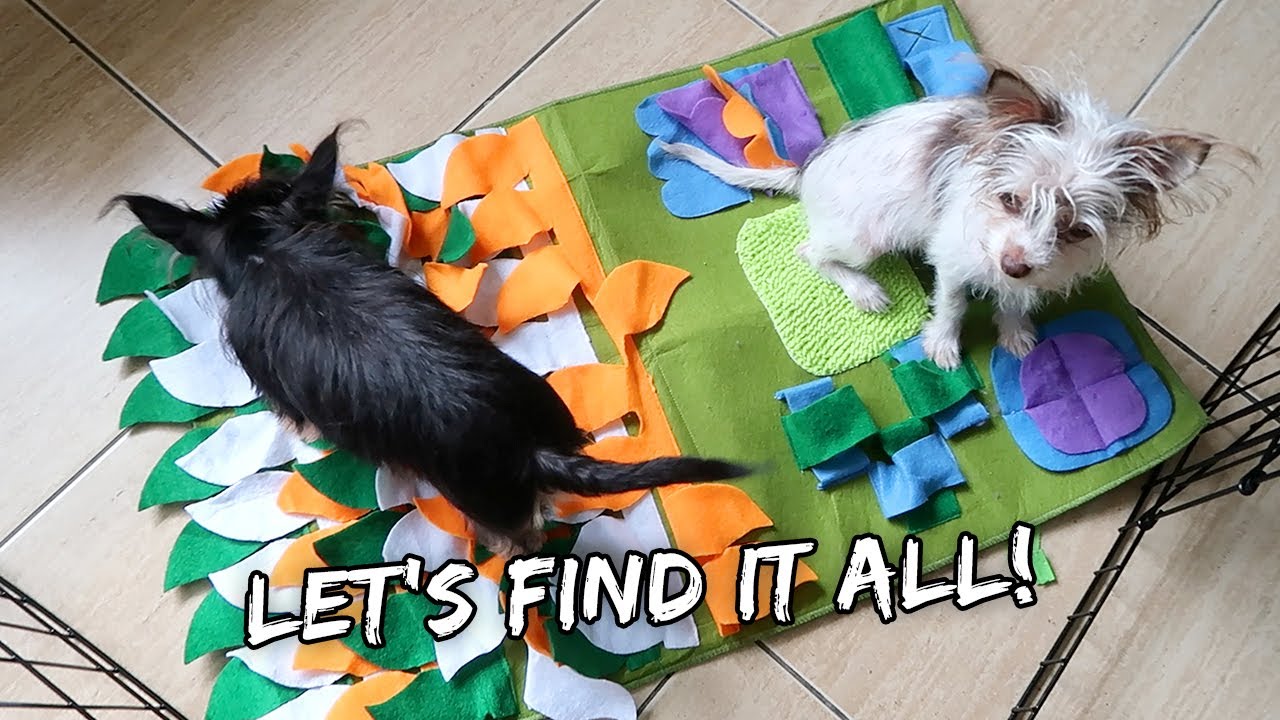 PUPPIES vs FORAGING MAT | Vlog #937