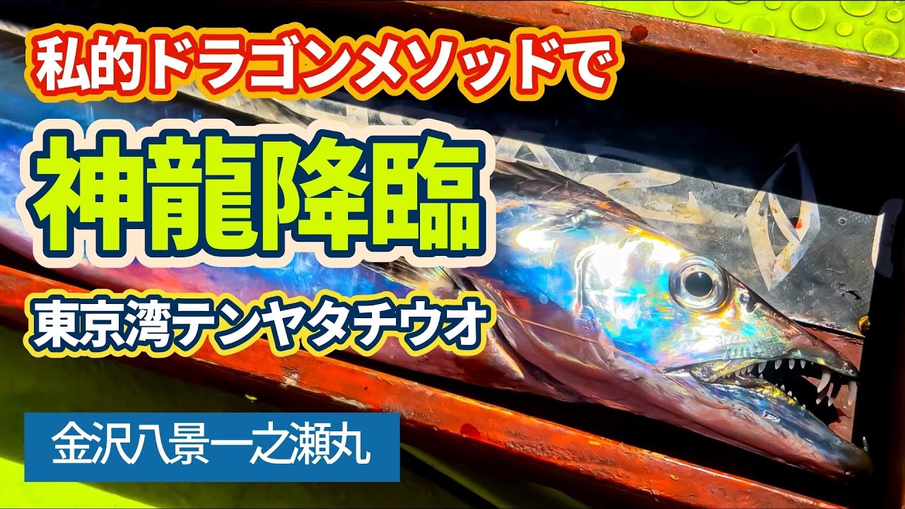 【東京湾テンヤタチウオ】神龍降臨🐉ドラゴンXDAY【金沢八景一之瀬丸】
