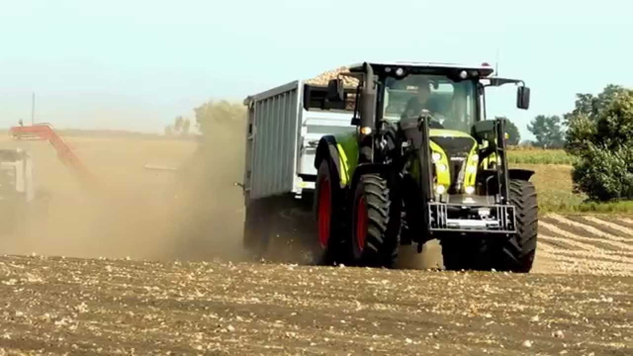 Zbiór Cebuli 2015 |Claas|John Deere|Amac| BEMAROL