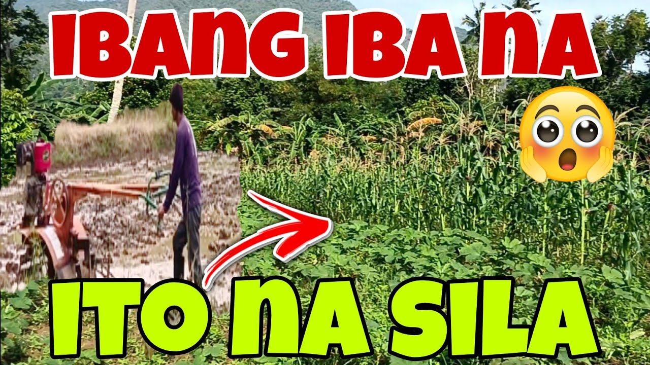 Dito sa Bukid|Buhay sa Bukid|Buhay Probinsya 