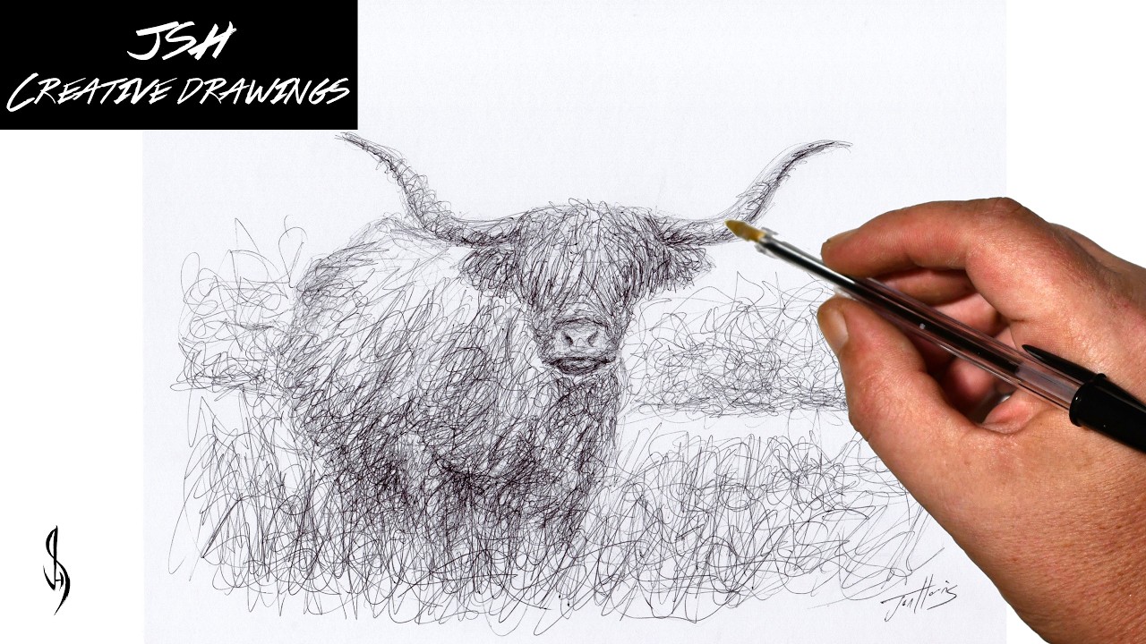 Highland Cow Scribble Art Drawing