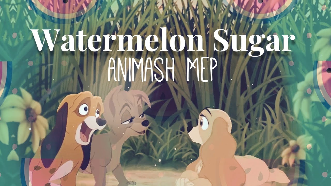 🍉 Watermelon Sugar- Animash MEP🍉