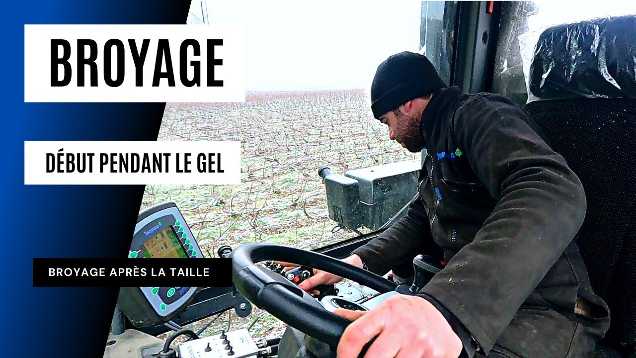 Premier broyage de sarment - 2022