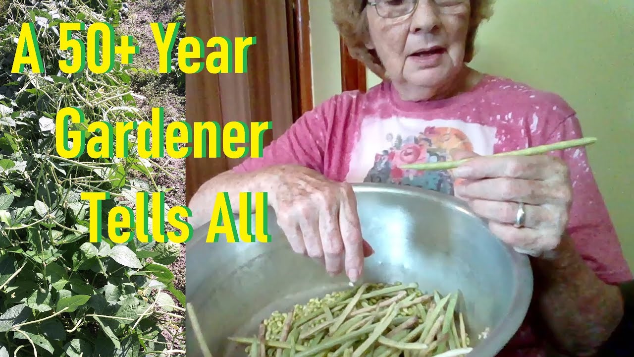 Shelling and Preparing Garden Peas for Freezing