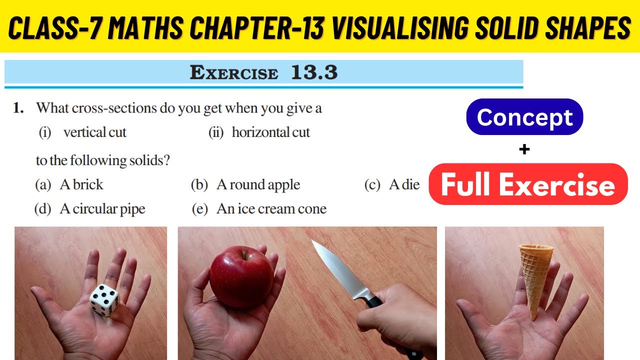 Class 7 Maths Chapter 13 Visualising Solid Shapes NCERT Exercise 13.3 full Solved #class7maths