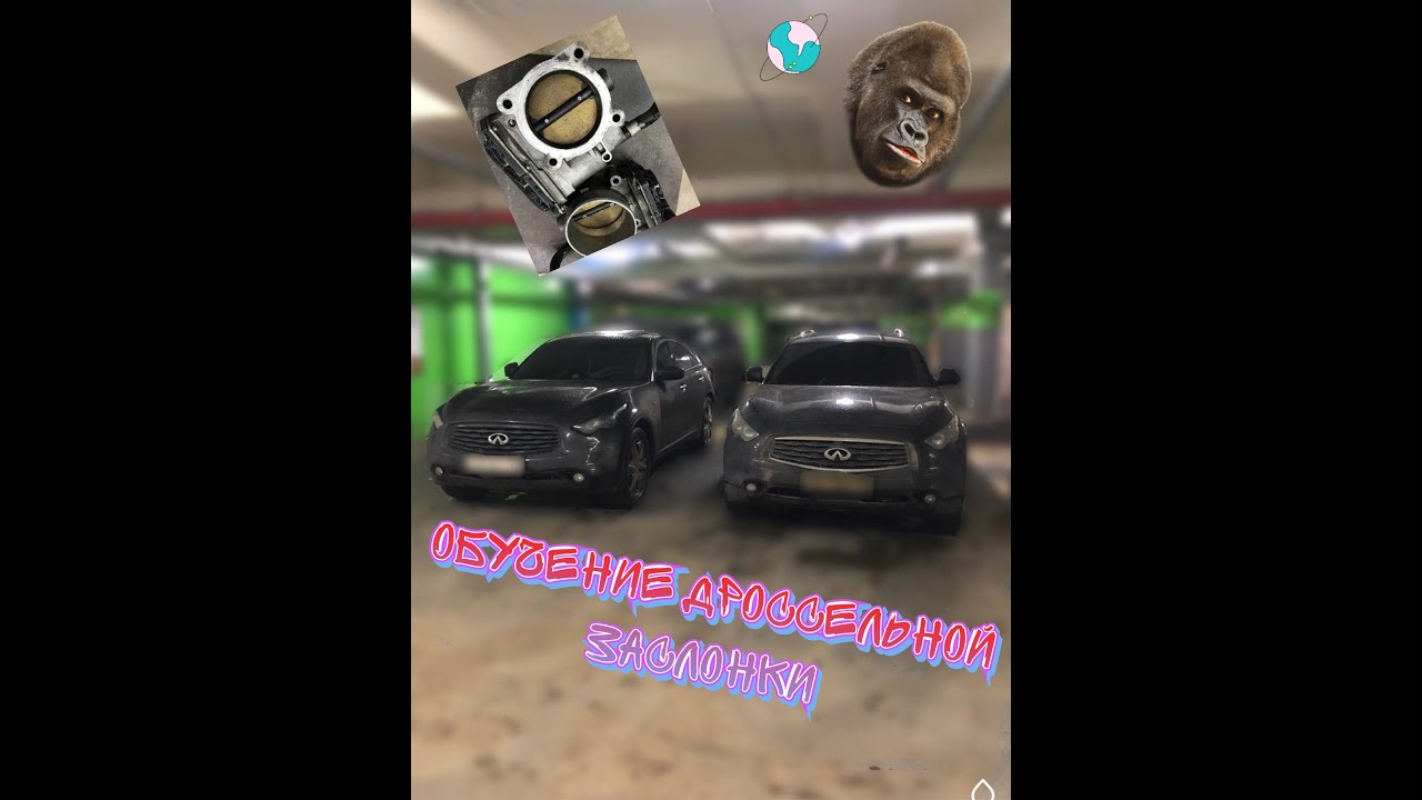 Обучение дросельной заслонки Infiniti FX 35 S51 (самостоятельно)