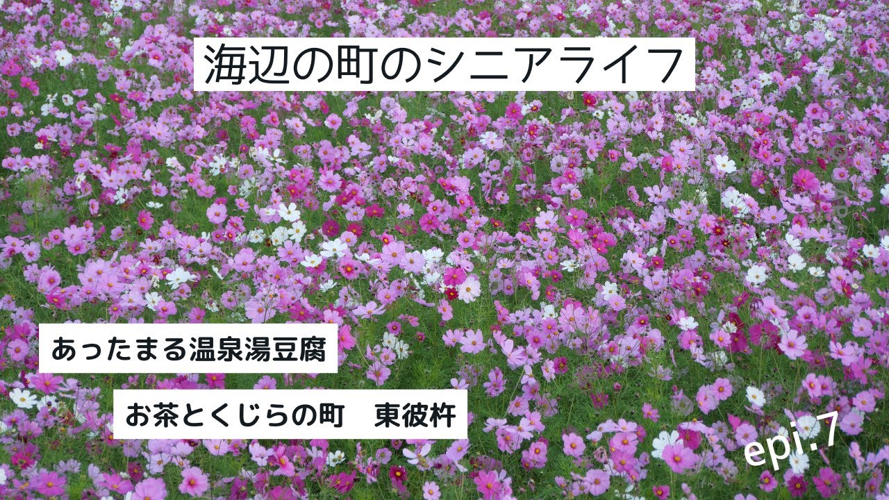 深まる秋の夜に味わう温泉湯豆腐。６０代夫婦のライフワーク「道の駅めぐり」。お茶とくじらの町で出会ったおいしいもの。