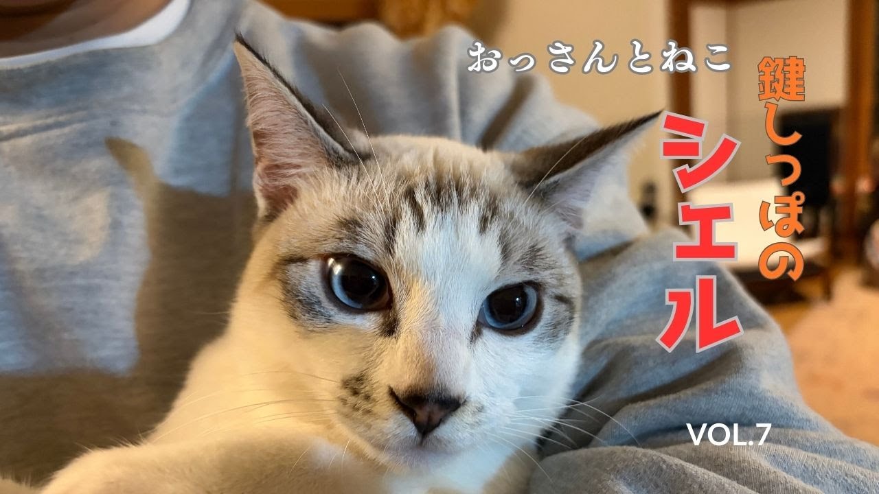 去勢はしたけどなぜかパワーアップしている