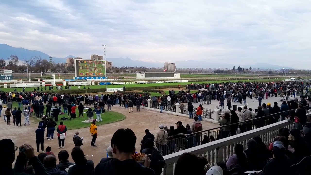 Camara exclusiva de HPT Clasico club hipico de santiago falabella 🇨🇱🐎