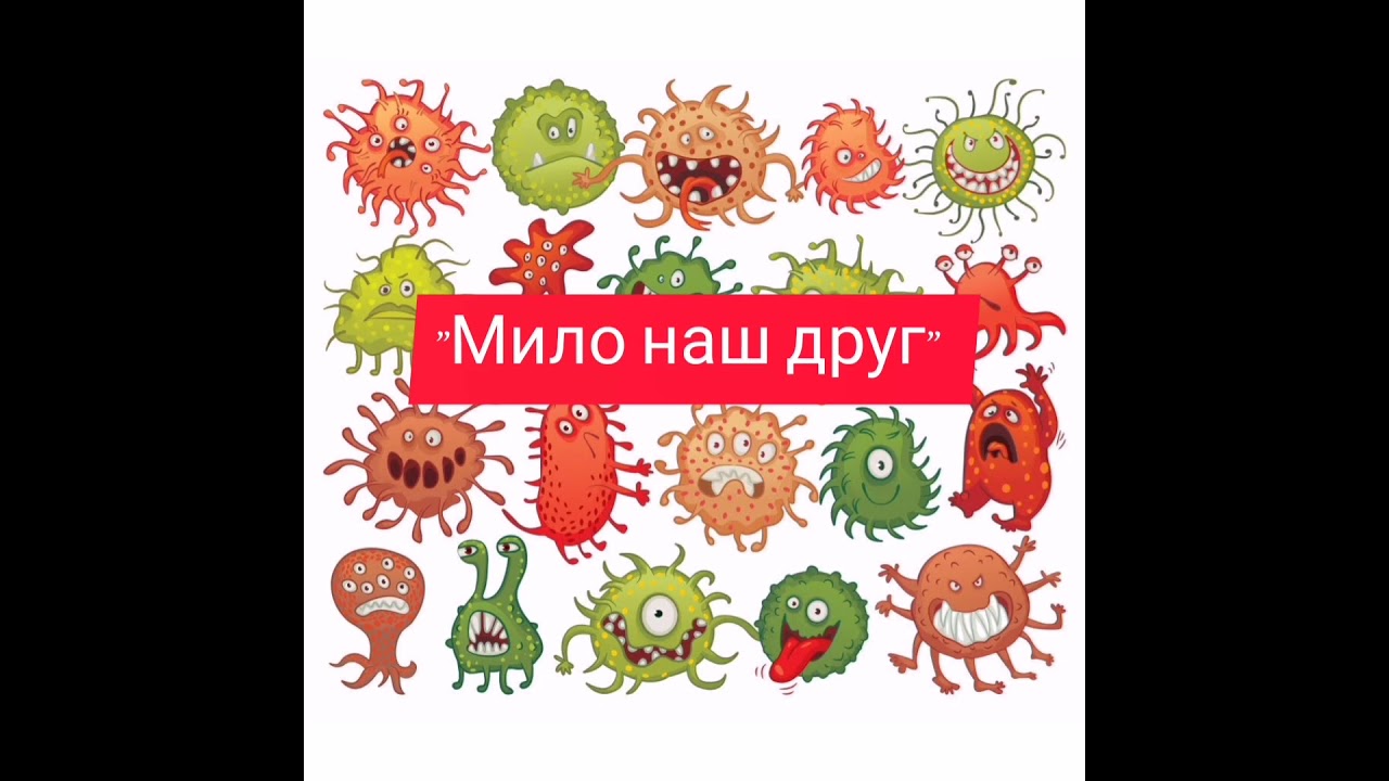Пошуково - дослідницька діяльність 