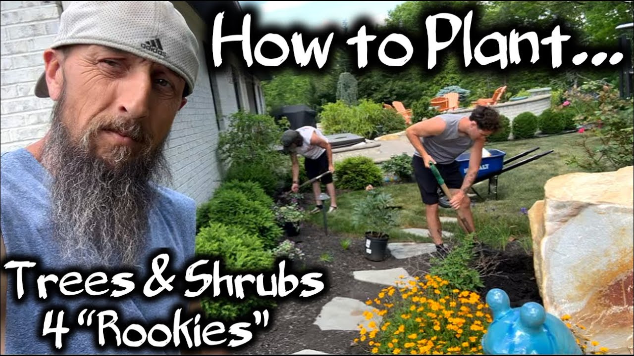Professional Nursery Guidebook Instructions for Planting Trees & Shrubs #diygarden #diy #landscaping
