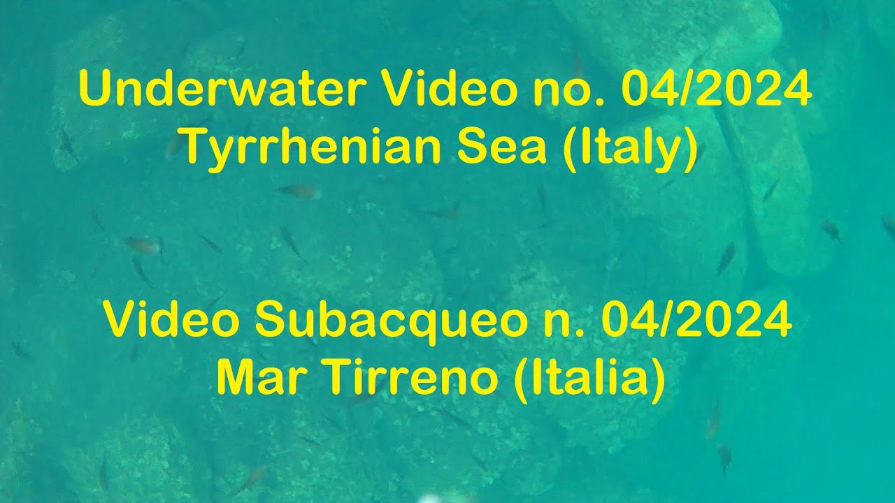 Video Subacqueo n. 4/24 - Mar Tirreno / Underwater Video no. 4/24 - Tyrrhenian Sea (Italy)