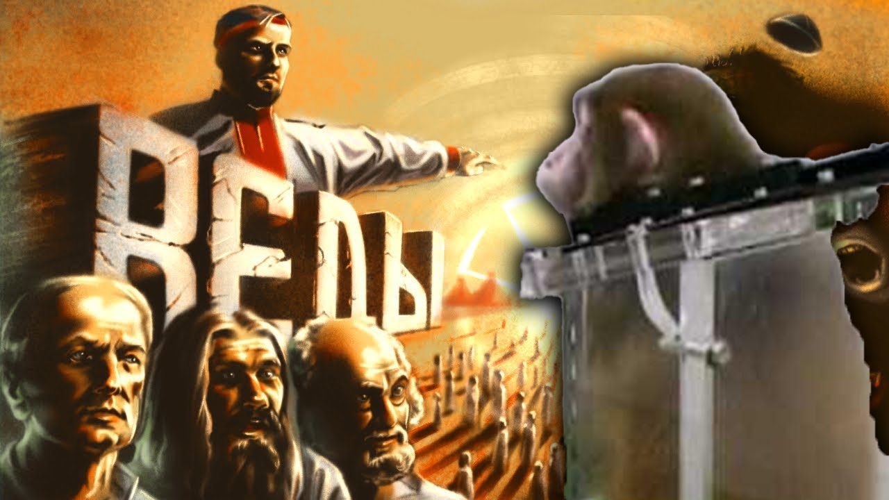Смотрю 