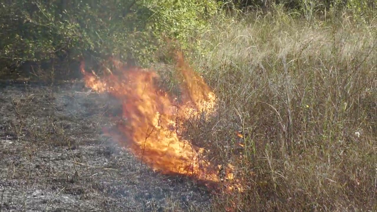 Wildland Fire School