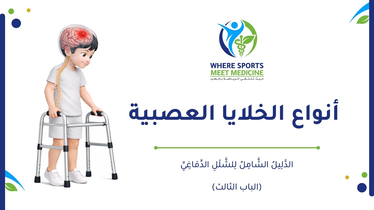 الدليل الشامل للشلل الدماغي | ٤ | الباب الثالث | أنواع الخلايا العصبية وأين توجد في الجهاز العصبي؟