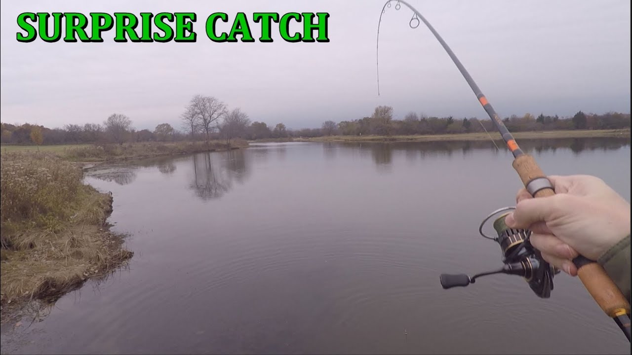 Close Up Bluegill Fishing. And Something Else..