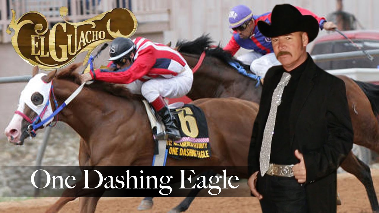 José Robles El Guacho - One Dashing Eagle