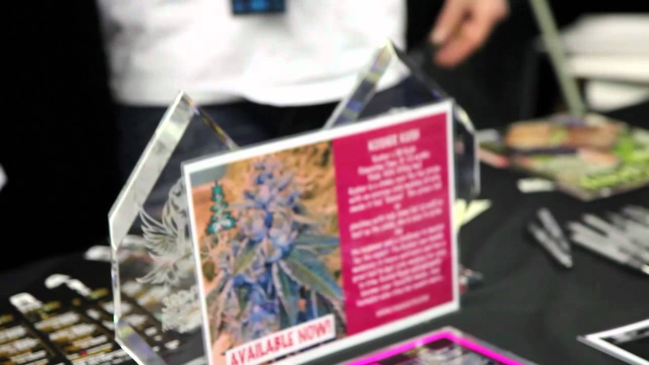 Best Strain Awards 2011 | The Attitude Seedbank