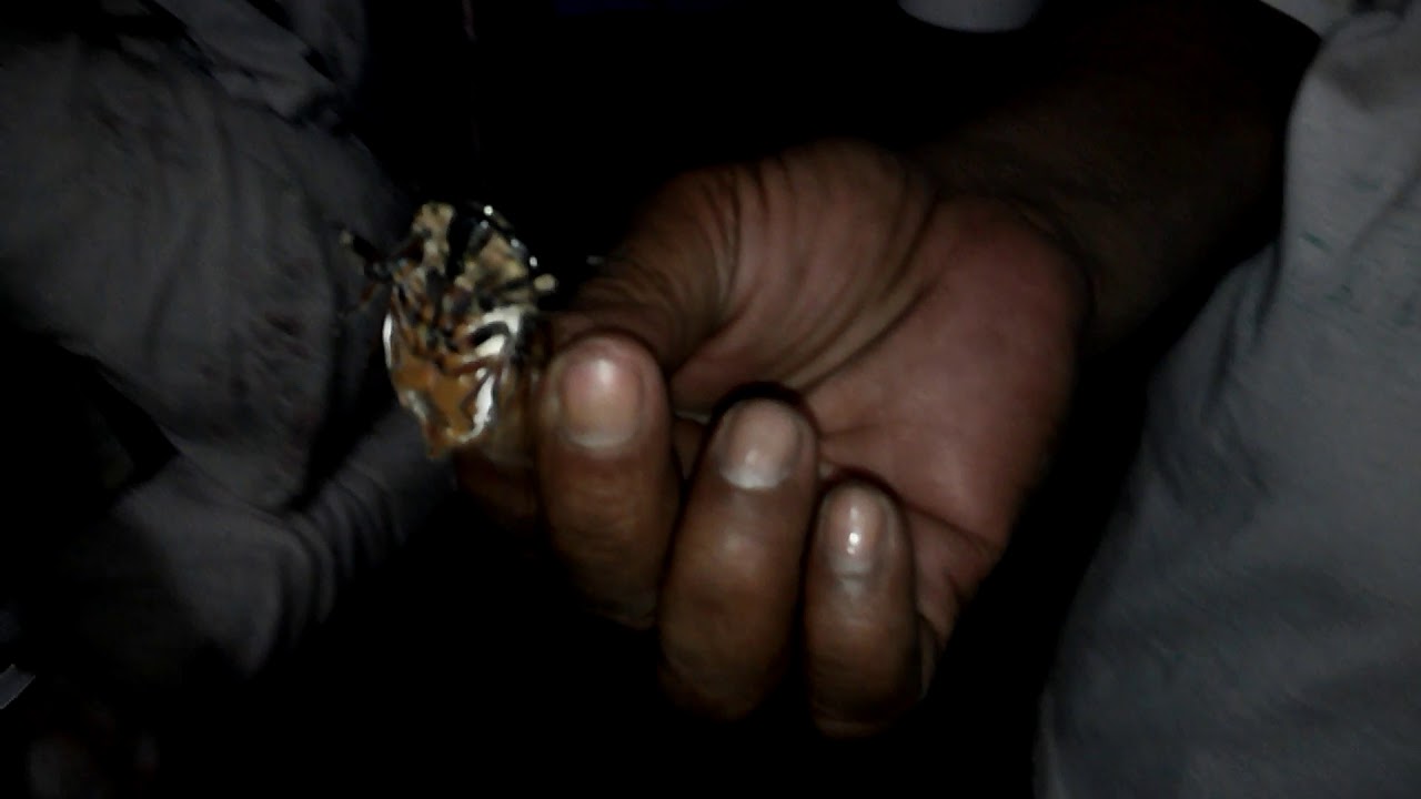 HUGE CICADA, KULISAP or KULIGLIG