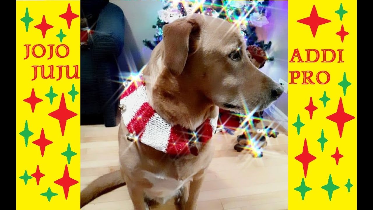 Hiw ti make DOG christmas COLLAR | knitting machine