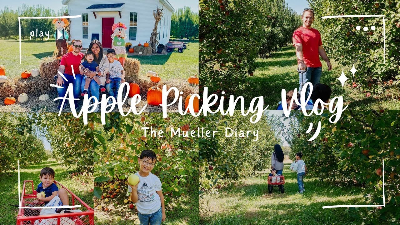 The Mueller Diary Vlog #1 | Apple picking at the local orchard