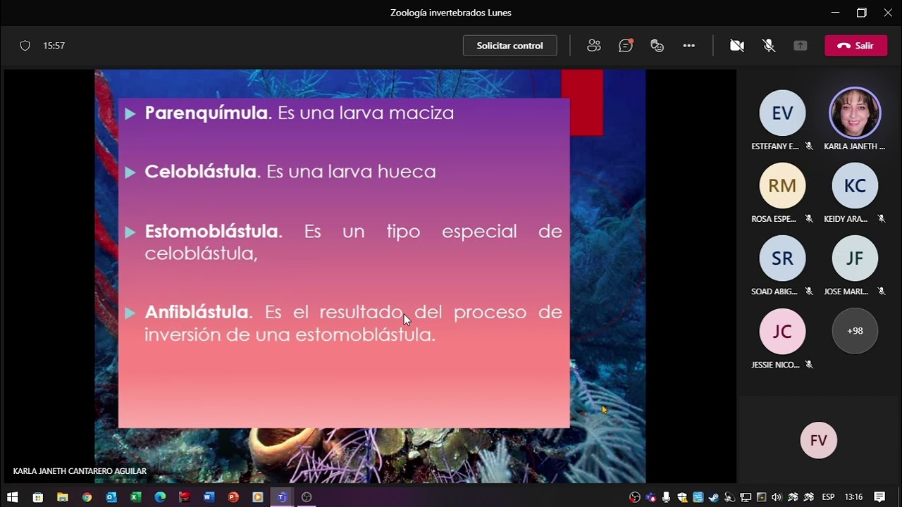 FINALIZACI&Oacute;N DE ESPONJAS