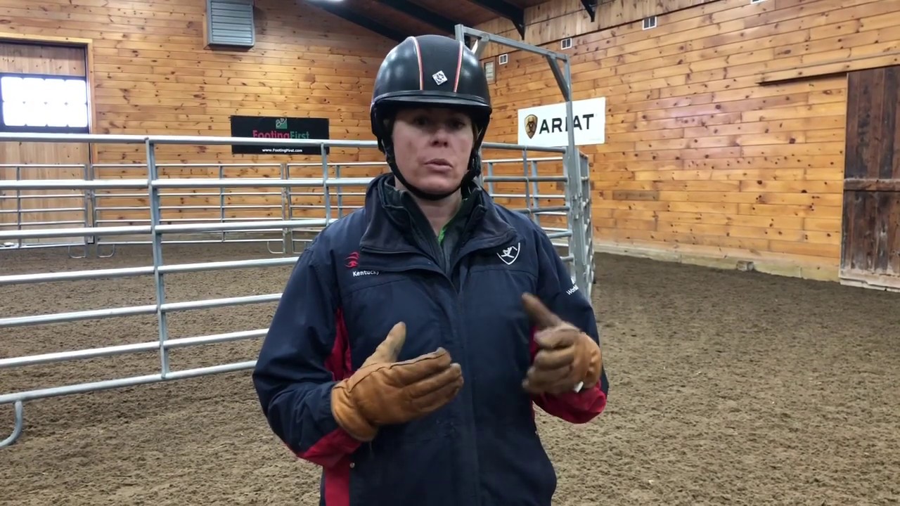 Young Horse Development - Beginning of the 4 Year Old Year