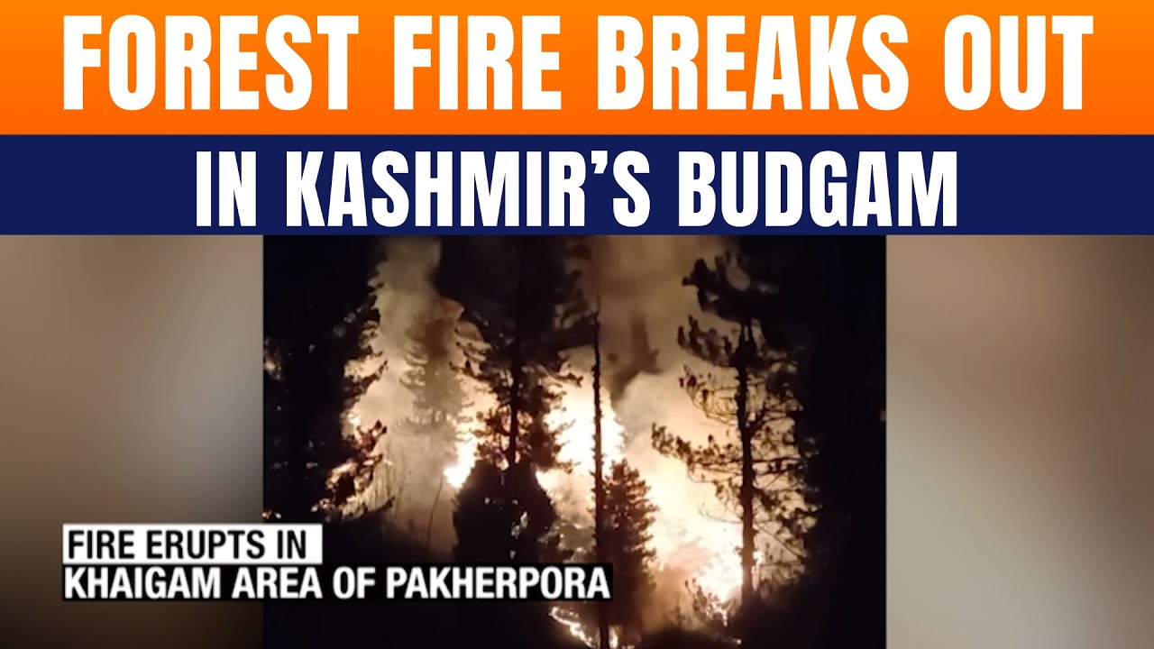 Massive Forest Fire Breaks Out In Budgam&rsquo;s Khaigam Area, Strong Winds Fan Flames | Kashmir | News9