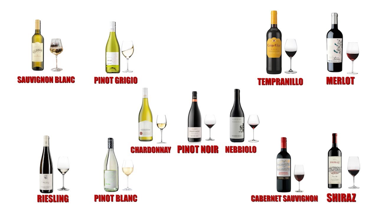 Most  POPULAR Wines Everyone Should Know, Explained in 6 minutes