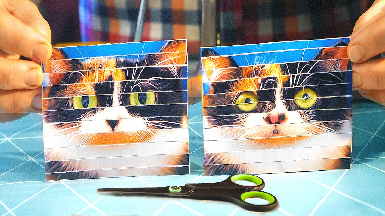 КАК ИЗ ОДНОЙ ФОТОГРАФИИ СДЕЛАТЬ ДВЕ