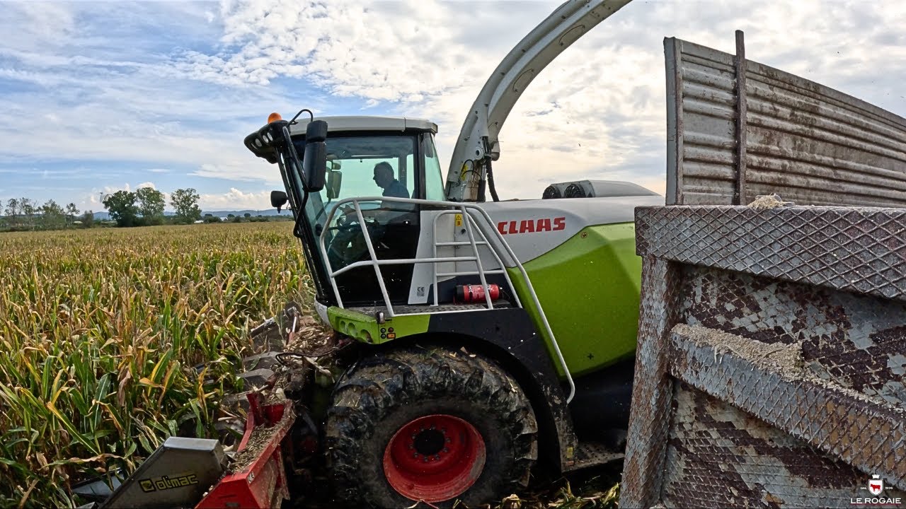 PASTONE 2024 - Claas Jaguar 970