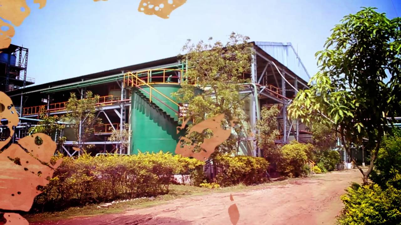 Manas Agro Industries & Infrastructure Limited Introduction