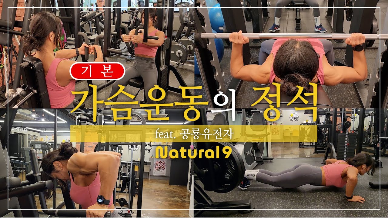 EP20 | 가슴운동의 정석 (기본편)