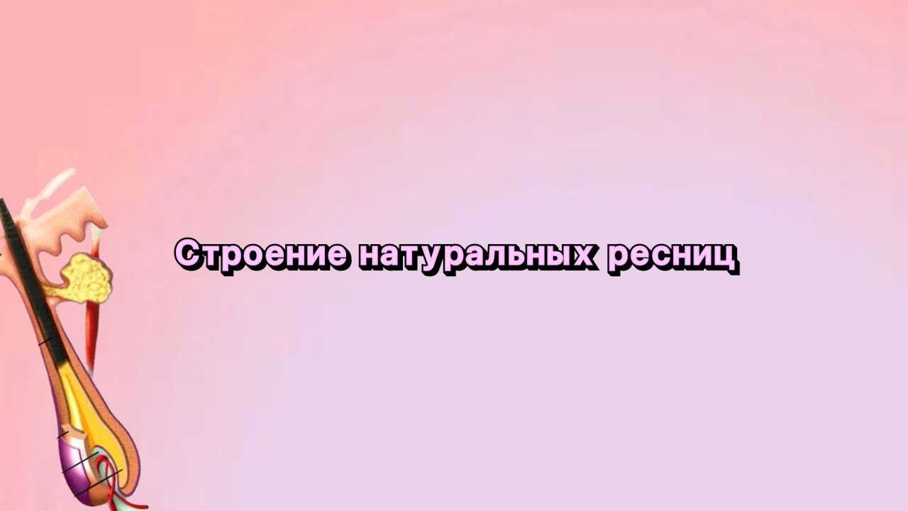 Обучение наращиванию ресниц Барнаул 