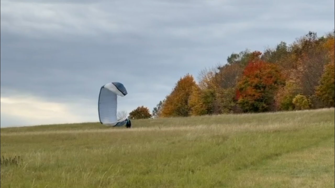Starkwind Landung mit angelegten Ohren.