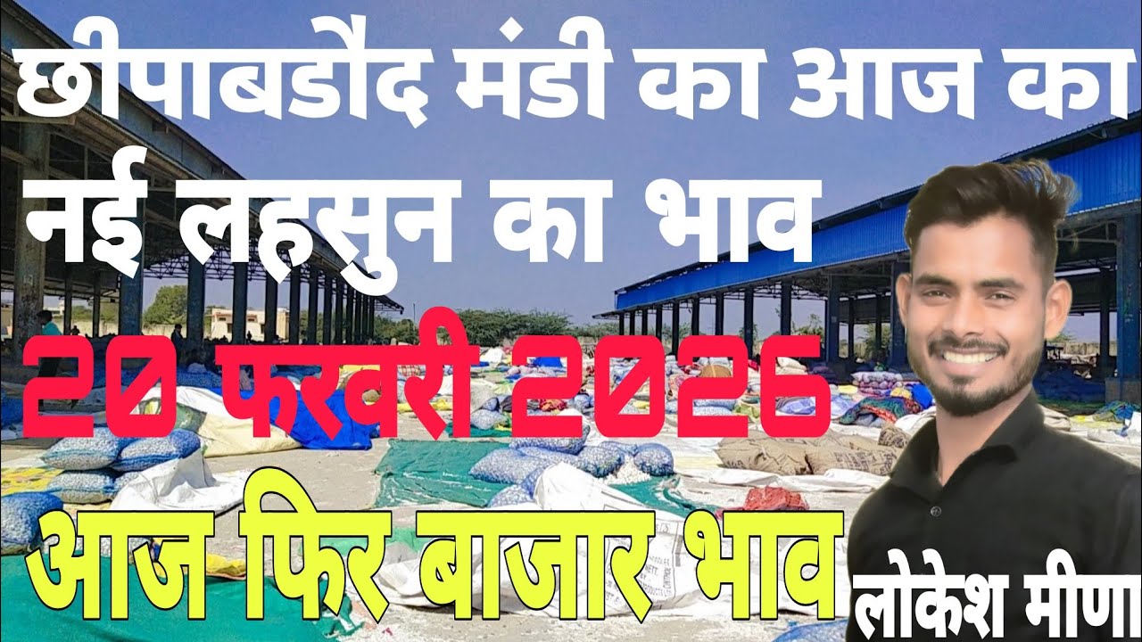 नई ऊटी लहसुन का भाव | Aaj Ka Ooty lahsun Ka Bhav | Aaj Ka Lahsun Ka Bhav | Chhipabarod Mandi ka Bhav