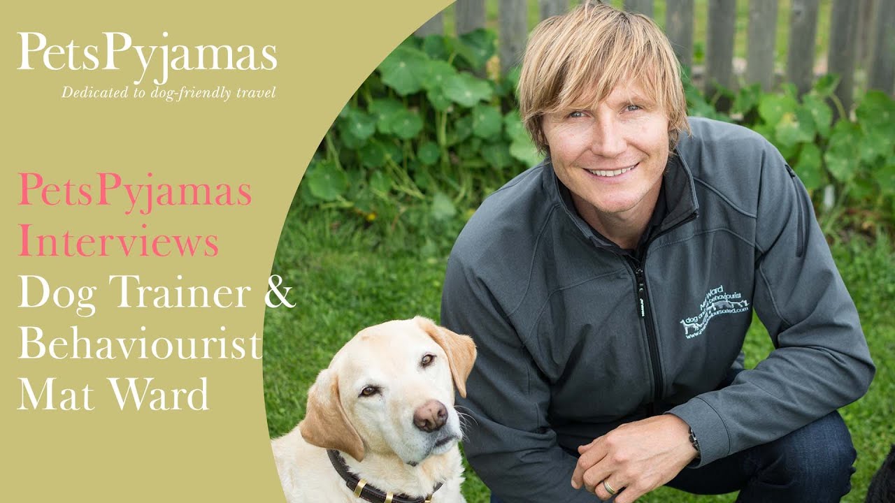 PetsPyjamas Interviews Dog Trainer & Behaviourist Mat Ward